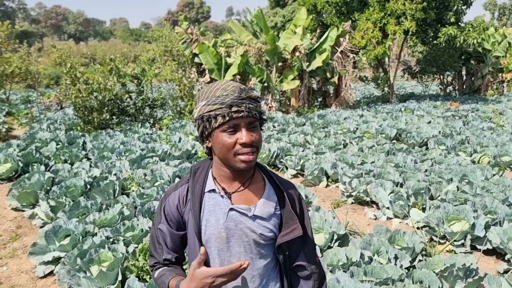 African Farm Data