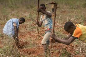Farm Problem